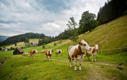 Mit der Natur gehen und wirtschaften