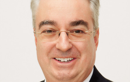 „Priorität haben Kosteneinsparung und Prozessvereinfachung”