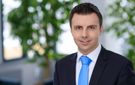 Software-Karriere jenseits der Grenzen