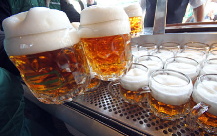 Studie: Klimawandel macht das Bier teurer