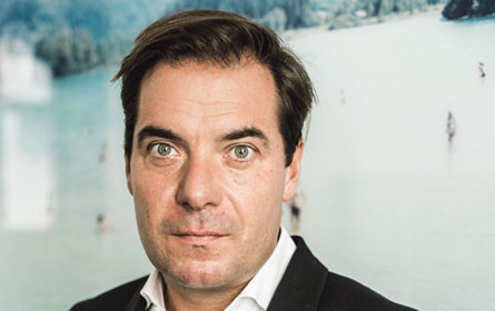 Stark in Wien und NÖ 