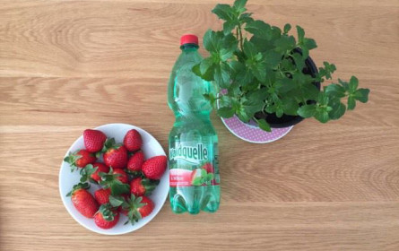 KMV-Gruppe füllt ab sofort PepsiCo für Ungarn, CZ und Slowakei ab