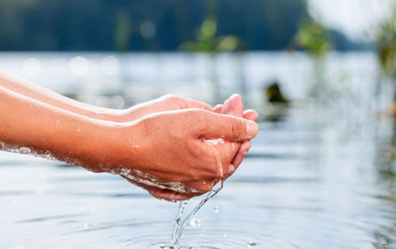 Hofer investiert 50.000 Euro in Wasserfonds und startet Schulwettbewerb