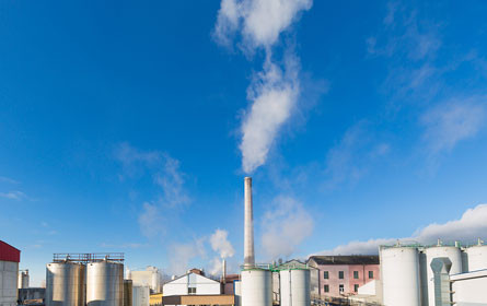 Agrana startet Kartoffelfaser-Produktion in Stärkefabrik Gmünd
