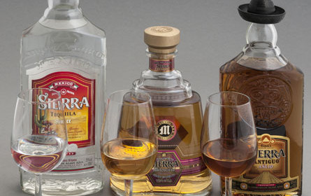 Mexikos Tequila-Industrie läuft Sturm gegen "Teslaquila"