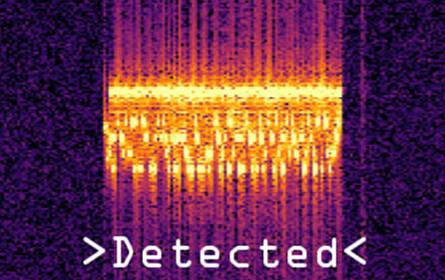 Auszeichnung beim Open Minds Award 2018 für Fachhochschule St. Pölten