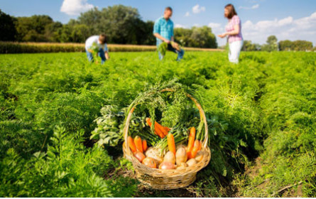 Spar zahlt Prämien an Landwirte für bodenschonenden Anbau