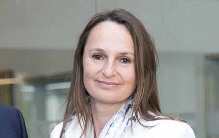 Kunststoffindustrie gegen geplantes Plastiksackerlverbot