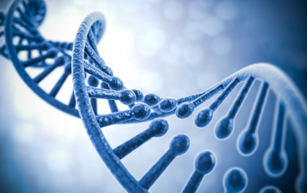 Wie Jahreszeiten unsere Gene beeinflußen