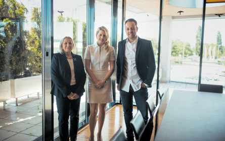 Ziegelwagners Offensive