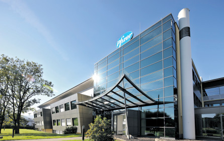 Pfizer bremst Entwicklung