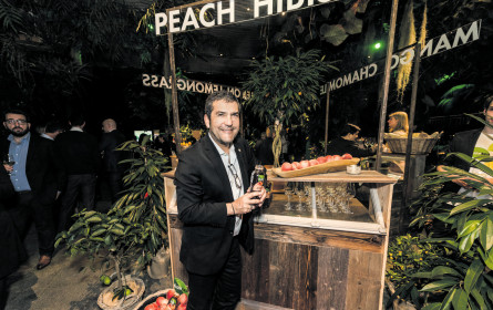 Coca-Cola steigt in CEE ins Eisteegeschäft ein