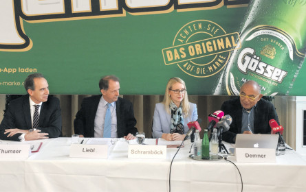 „Es muss cool sein, in Österreich zu investieren”