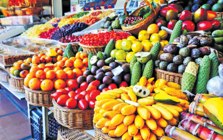 Welcome to the Jungle: Gütesiegel im Check