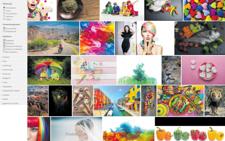 Zig Millionen Fotografien