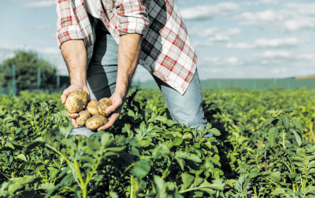Regionalität zwischen Vertrauen und Misstrauen