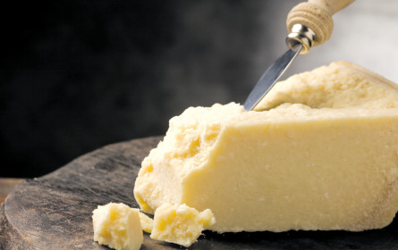 Weichkäse stinkt ab