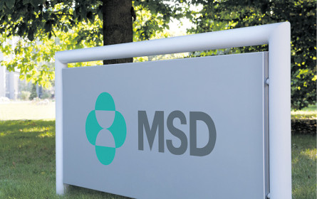 Steuerreform drückt MSD