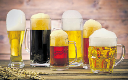 Stabile Schaumlage im Austria-Krügerl