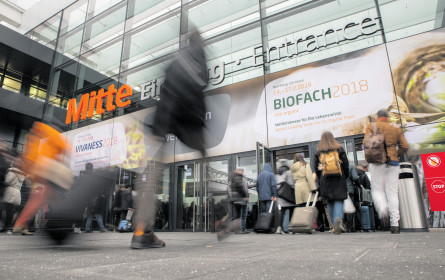 Green Brands wird breiter