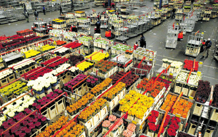 Preisbarometer Großhandel