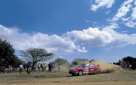 Evolution im Grenzbereich