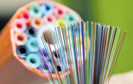 Die Milliarden-Chance