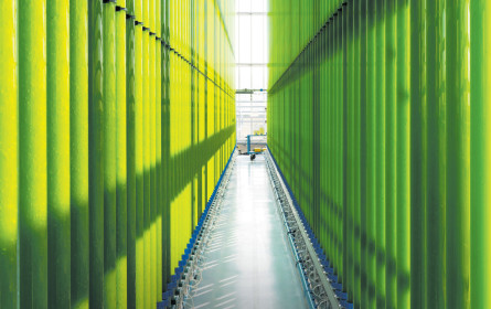 Ein neuer Hotspot der Green Technology