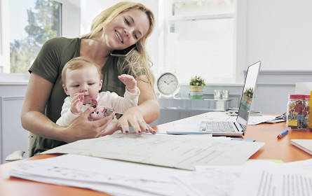 Projekt V/Faktor ist gestartet