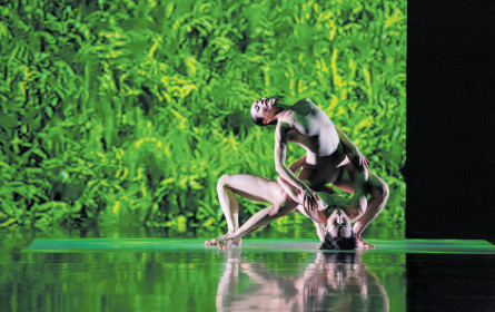 Kulturprogramm auf hohem Niveau