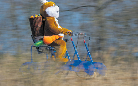 Was bringt der Osterhase?