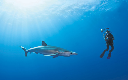 Nominierung & Neukunden