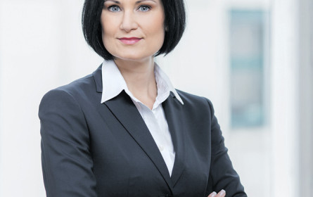 Die politische Landschaft in einer App