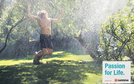 Die große Leidenschaft