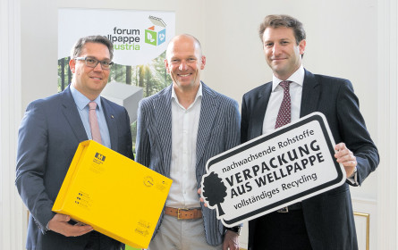 Onlinehandel gibt der Pappe Auftrieb