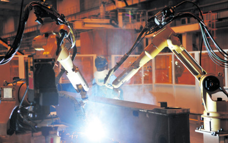 Wachstumssieger Indien