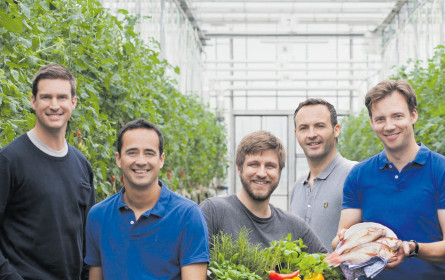 Regionales Super-Food: Gemüse liebt Fisch