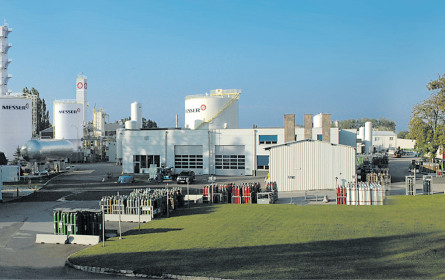 Die Meister der Gase