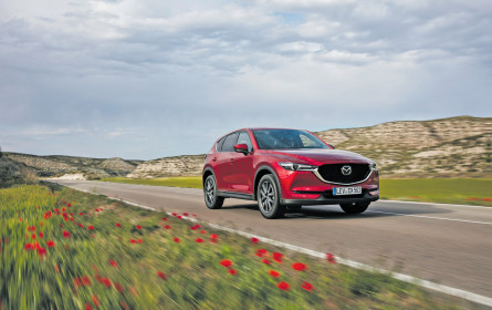 Neuer Verkaufsrekord