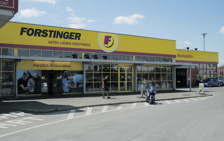 Forstinger-Sanierung läuft