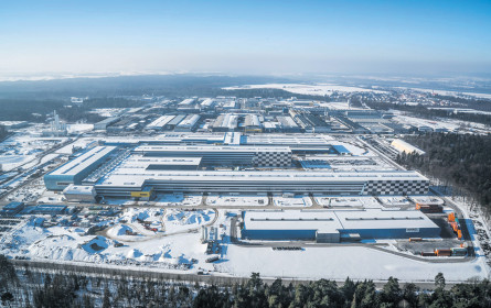 Amag steigert den Umsatz 