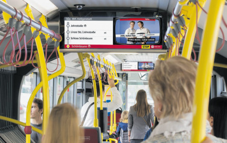 Vom Verlassen ausgetretener Pfade