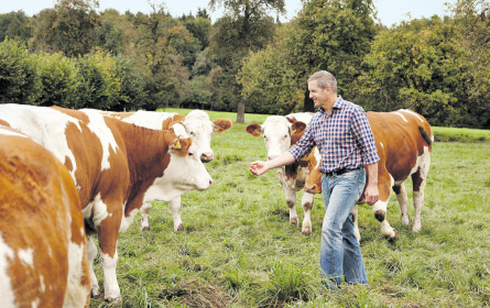 Gmundner knapp an 200 Mio. dran