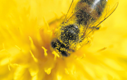 Leere Regale als Warnung