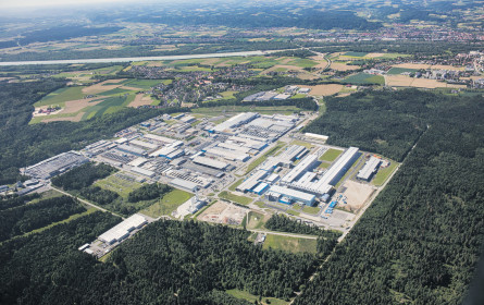 Was wo und wie wächst