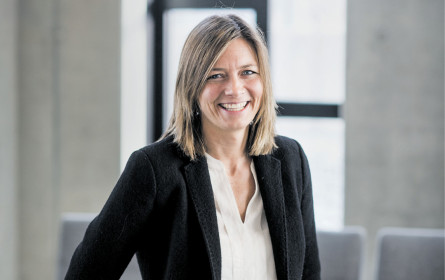 Tempo ist nicht alles auf der Karriereleiter