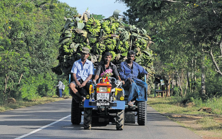 Lebensmittel mit Kilometerleistung