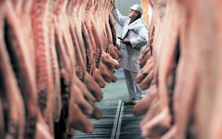 Päpstlicher als der Papst vs. verzichtbar