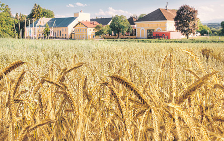 Österreichs erstes Biergut von Stiegl