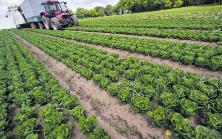 Bio ist für alle genug da!